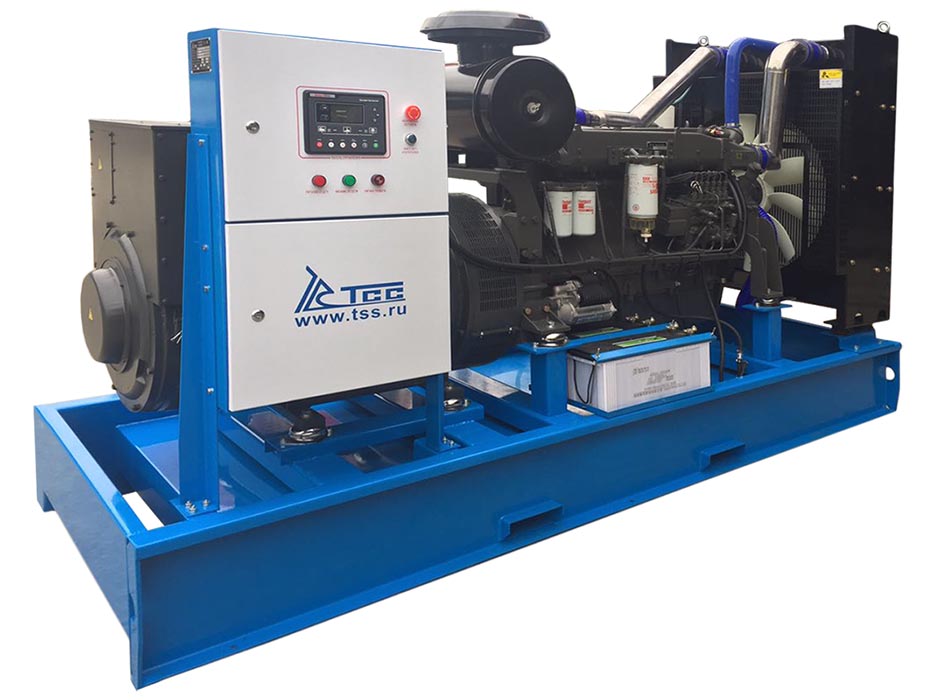 Дизельный генератор в защитном кожухе с АВР 300 кВт ТСС АД-300С-Т400-2РПМ5